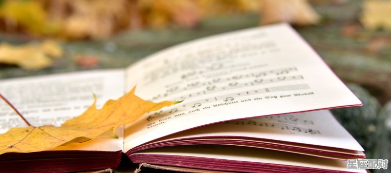 你心目中的最好看的谍战剧前十部都有哪些，迎风半跪是什么生肖 - 星座运势