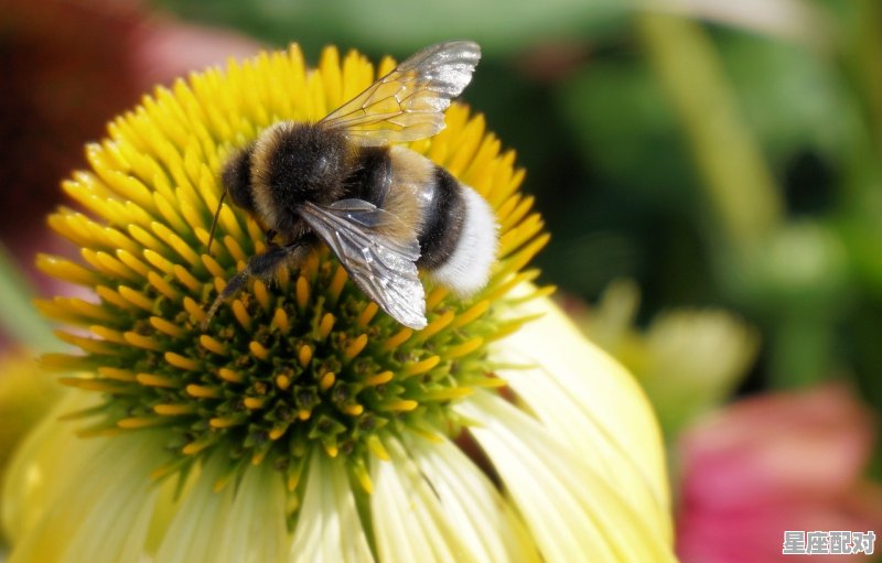 月亮落在金牛座是指几月,金牛座性格星象 月亮落在金牛座是指几月,金牛座性格星象 - 星座运势