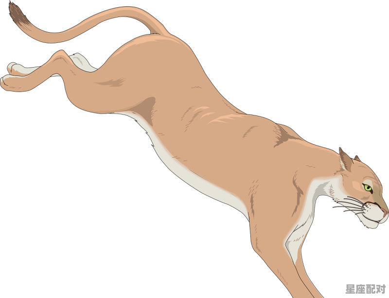 狮子猫尾巴特征,狮子座尾巴性格 狮子猫尾巴特征,狮子座尾巴性格 - 星座运势