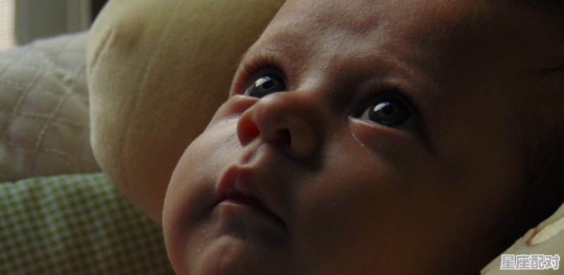 疙瘩子亲是什么意思,接疙瘩习俗手工 - 星座运势