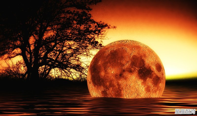 00年11月28日是什么星座月亮星座,11.28 是什么星座 00年11月28日是什么星座月亮星座,11.28 是什么星座 - 星座运势