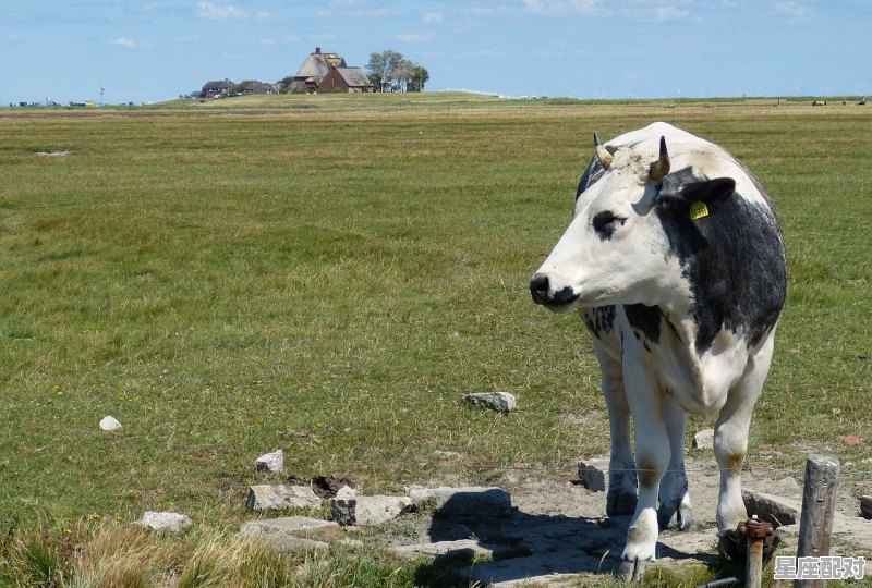 鼠羊牛地置田间什么意思_开疆辟土是指什么动物 鼠羊牛地置田间什么意思_开疆辟土是指什么动物 - 星座运势