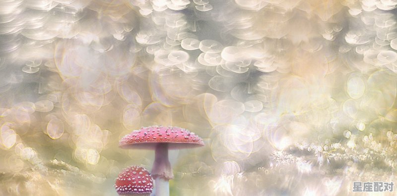 水瓶座十大特点_水瓶座的性格特点 水瓶座十大特点_水瓶座的性格特点 - 星座运势