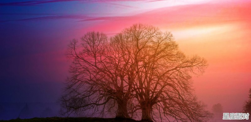 水瓶座和狮子座能当好朋友吗_我是太阳水瓶，月亮摩羯，金星水瓶，水星双鱼，上升在狮子，是怎样性格 - 星座运势