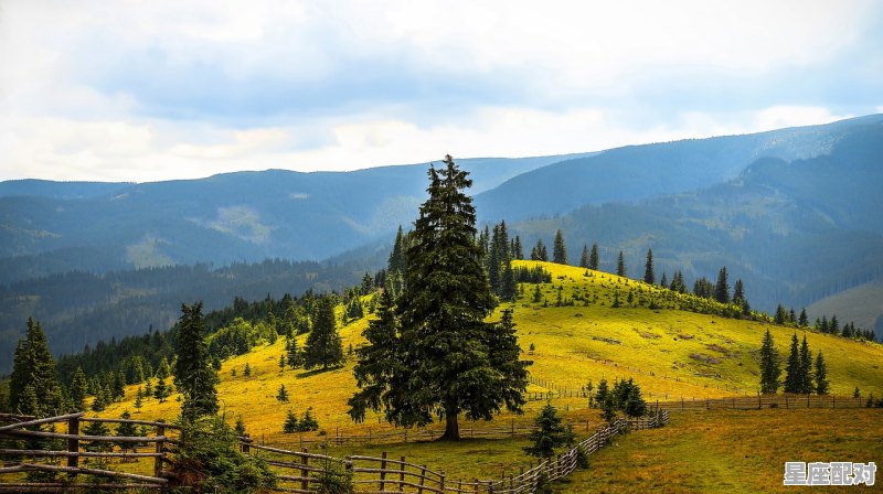 马纳尔一带礁石岩脉间旅行所遭遇到的事故是什么,旧习俗和新的碰撞 - 星座运势
