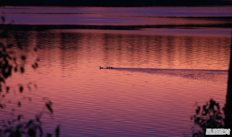 星座界最冷的三大星座_水瓶座变得冷漠了说明什么 - 星座运势