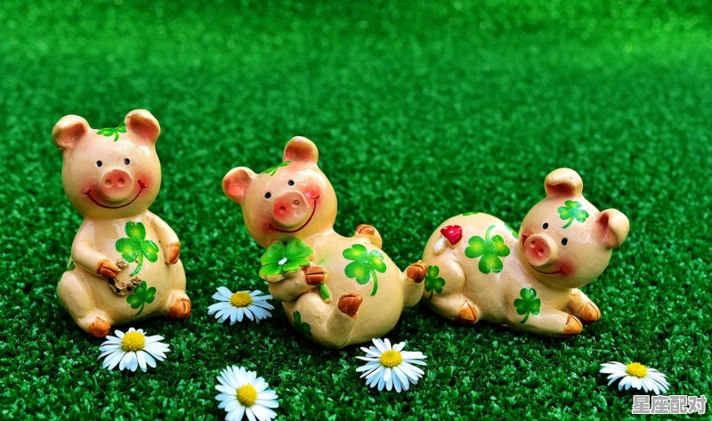 什么动物是最懒吃货，十二生肖什么动物最懒 - 星座运势