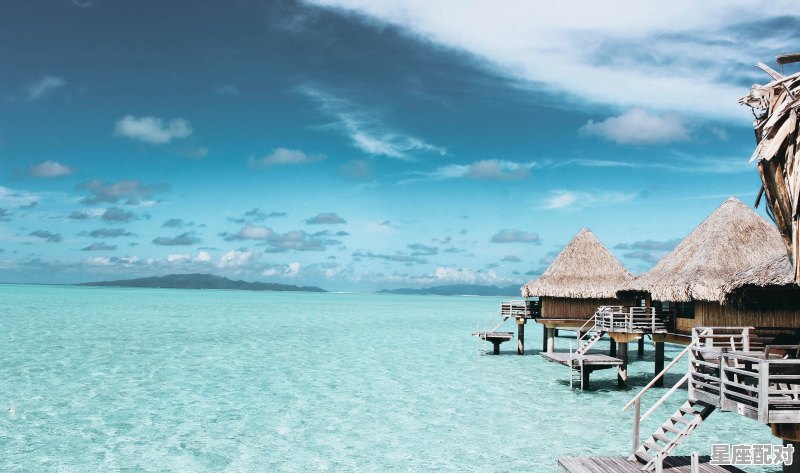 为什么说水瓶座是巨蟹的最佳爱人,水瓶座和哪些星座配对比较好一点呢 - 星座运势