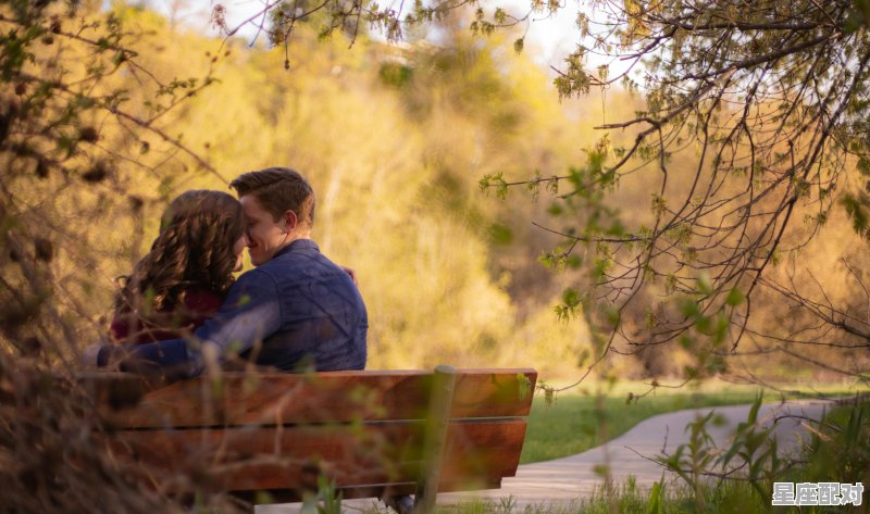 男儿有志安得闲出自哪，男儿有求安得闲是什么生肖 - 星座运势