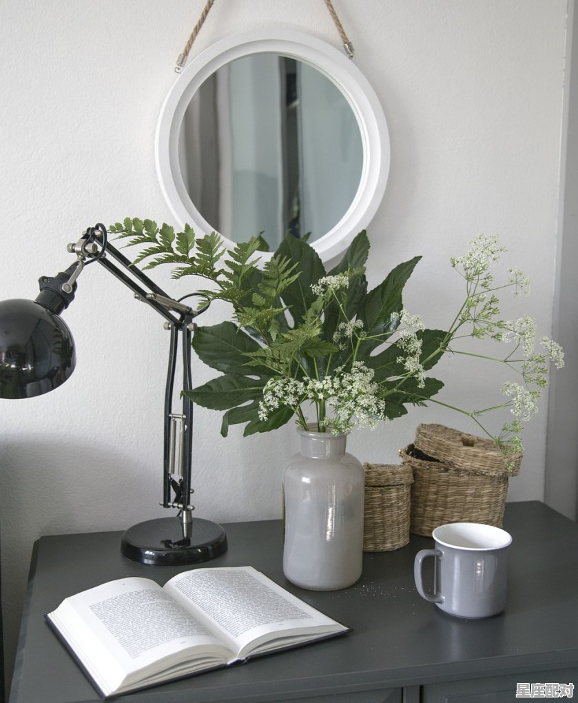 形容阳台视野的句子,阳台是什么星座 - 星座运势