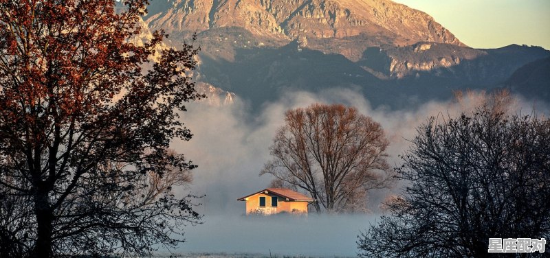齐己属相,庚辰年是属什么生肖的 齐己属相,庚辰年是属什么生肖的 - 星座运势