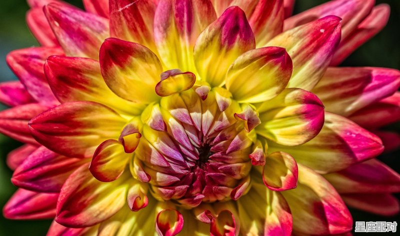 七月底星座,7月底是什么星座狮子座 七月底星座,7月底是什么星座狮子座 - 星座运势