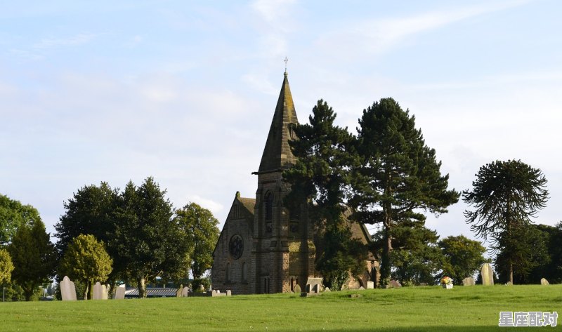 蛇是怎么爬上楼梯的,梦到被蛇爬 蛇是怎么爬上楼梯的,梦到被蛇爬 - 星座运势