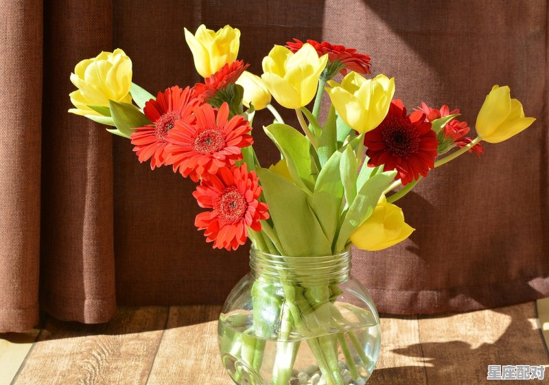 十二星座都有什么星座,每个人的星座都是什么样的 十二星座都有什么星座,每个人的星座都是什么样的 - 星座运势