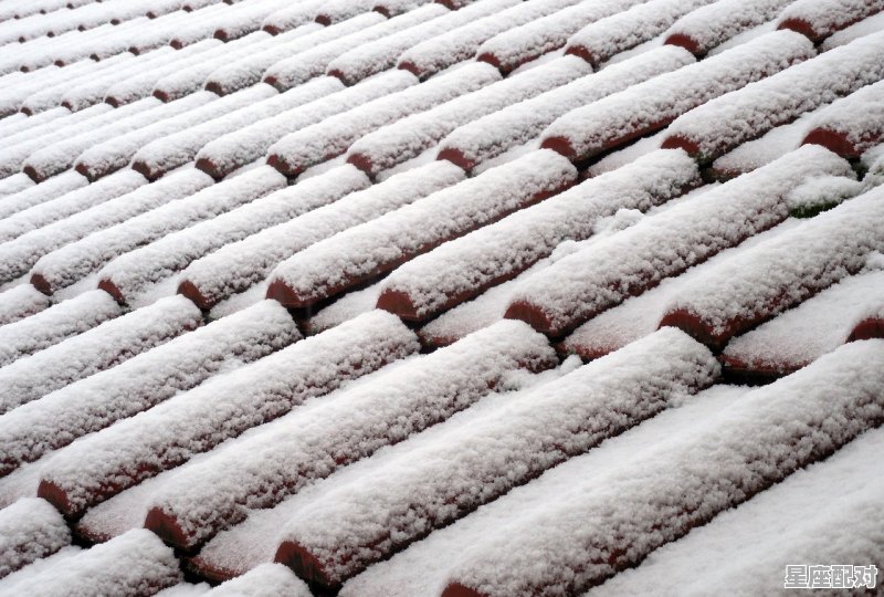 炒韭菜寓意什么，周公解梦梦到韭菜 - 星座运势