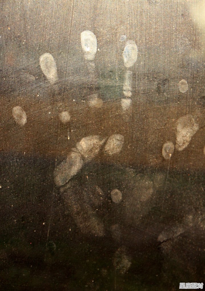 风尘绝色是什么,沦落风尘是指什么生肖 - 星座运势