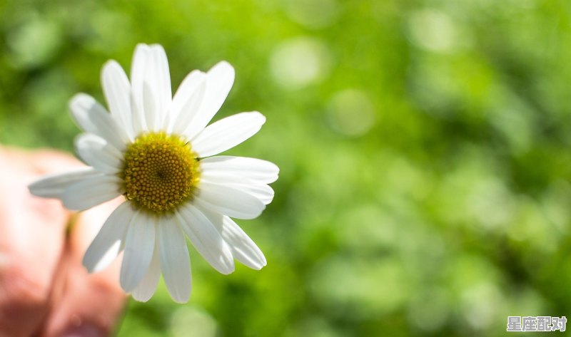 巨蟹座离哪个星座最近_与巨蟹座相同的星座 - 星座运势