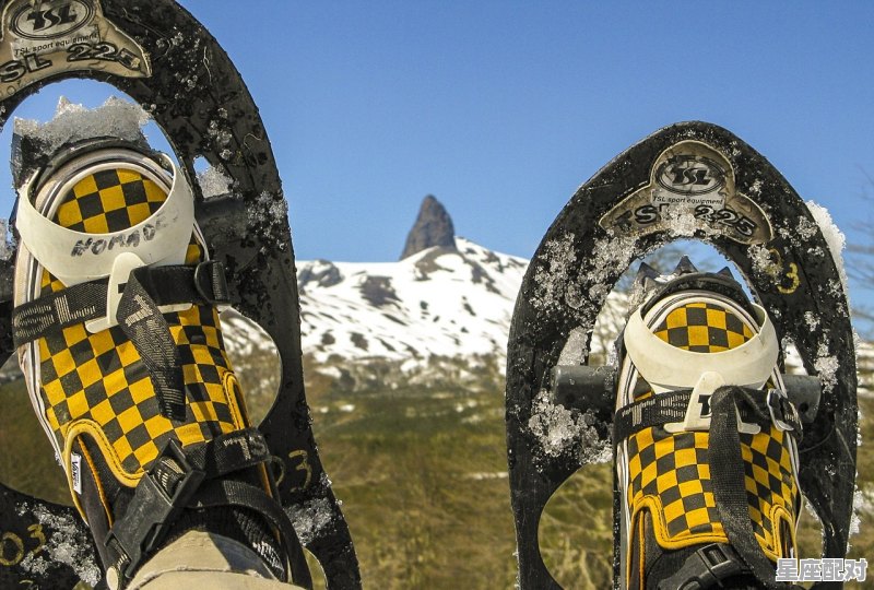 有勇无谋终胜利什么动物_用兵如神解什么动物 - 星座运势