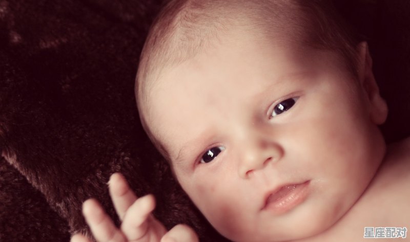 为什么狮子座的性格不一样,狮子座性格心理 为什么狮子座的性格不一样,狮子座性格心理 - 星座运势