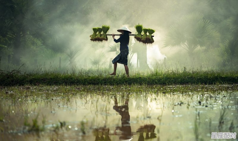 无米兼闰月福建话什么意思,闽南人的习俗今年闰月 无米兼闰月福建话什么意思,闽南人的习俗今年闰月 - 星座运势