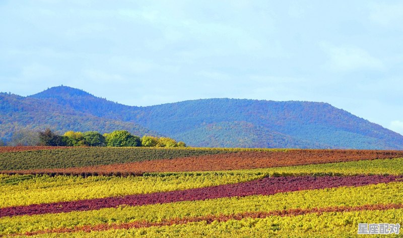 浇地什么时候浇,梦到在浇地 浇地什么时候浇,梦到在浇地 - 星座运势