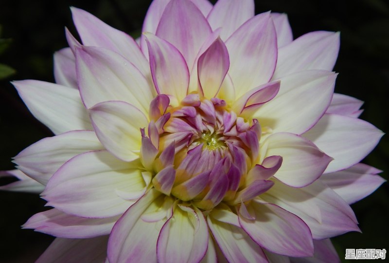 今年什么属相是本命年,好运当头四丰收是什么生肖 今年什么属相是本命年,好运当头四丰收是什么生肖 - 星座运势