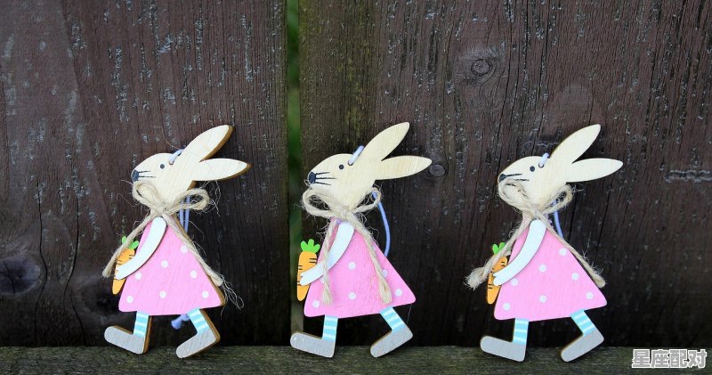 2022属兔是什么年，1975男兔今日运势 - 星座运势