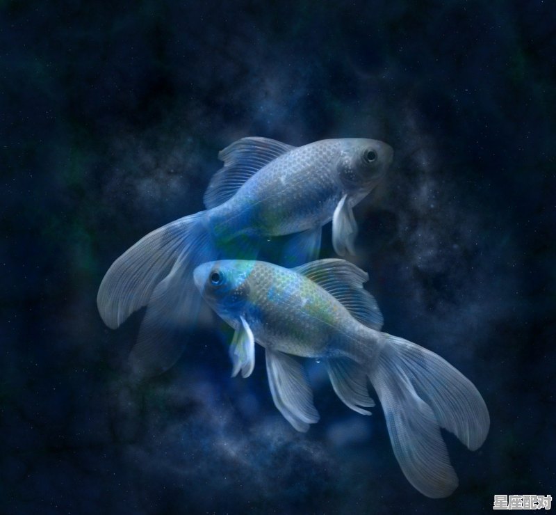 什么星座变成蓝孔雀_12星座是叶罗丽哪号的 - 星座运势