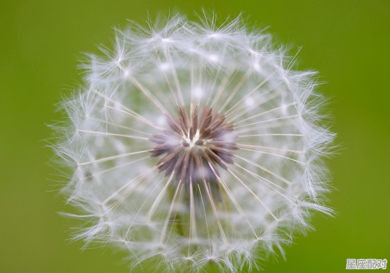 春分节气是什么意思,春分习俗和意义 - 星座运势