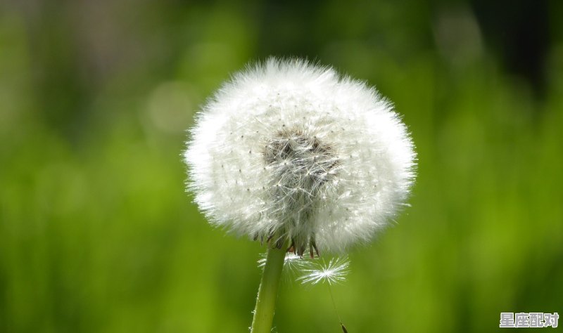春分节气是什么意思，春分的意义习俗是什么 - 星座运势