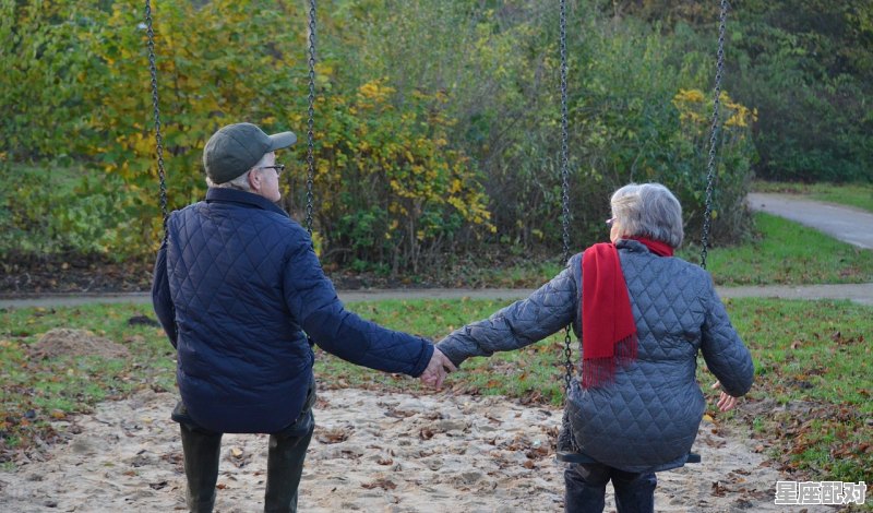 送老雁习俗,给妈妈送雁是什么习俗 - 星座运势
