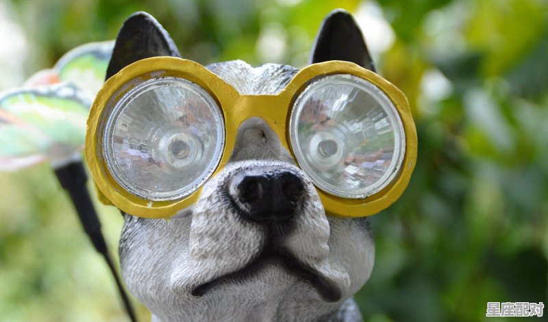 96年出生的现在多大了,96鼠今日运势如何 96年出生的现在多大了,96鼠今日运势如何 - 星座运势