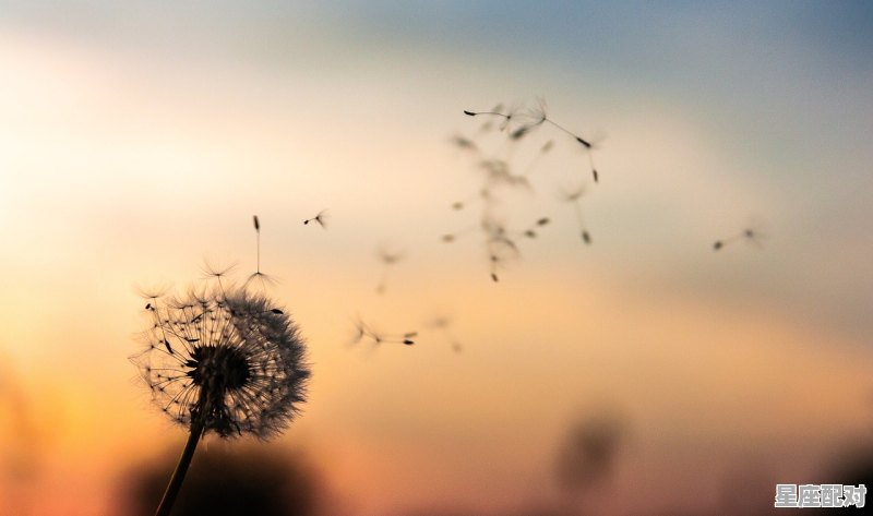 巨蟹不得不让人佩服的八个特质,巨蟹座性格沉稳 - 星座运势