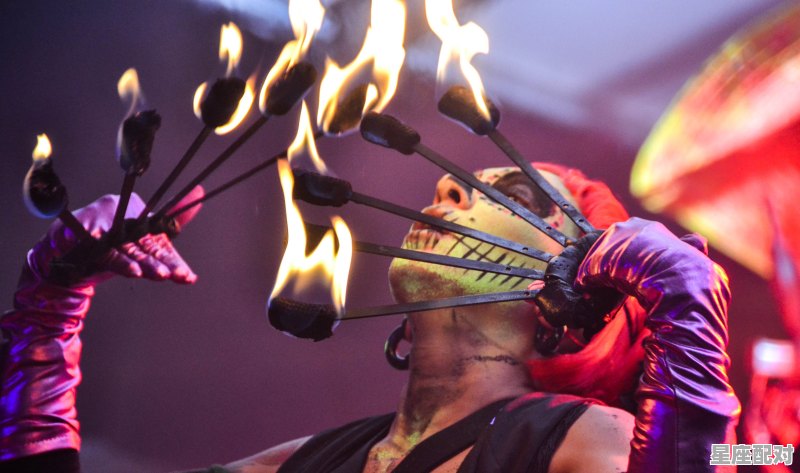 虎年口号，众人拾紫火焰高是什么生肖 - 星座运势