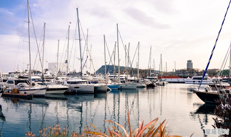 大雁什么时候送,习俗送雁 - 星座运势