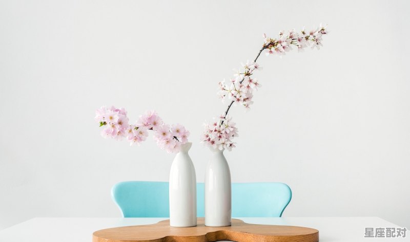 女天蝎座跟什么座最配，天蝎的星座配对是什么星座的呢女生 - 星座运势