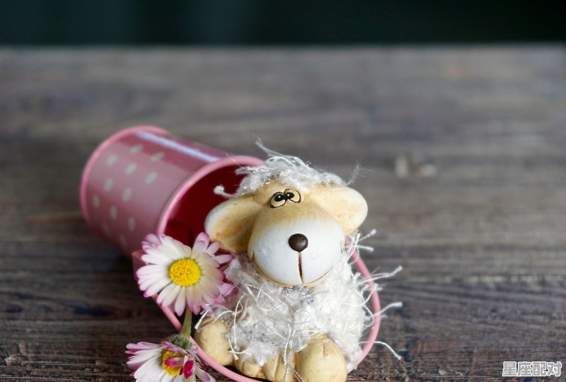 福州海洋馆排名，罗源生肖鼠今日运势 - 星座运势