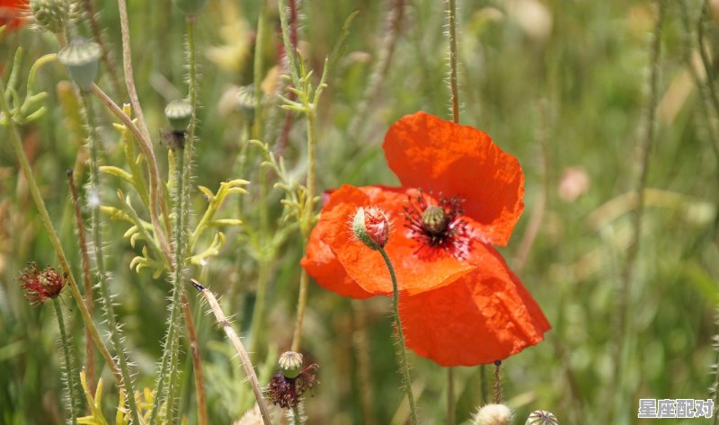 易建联几几年出生的，水瓶座abcd性格 - 星座运势