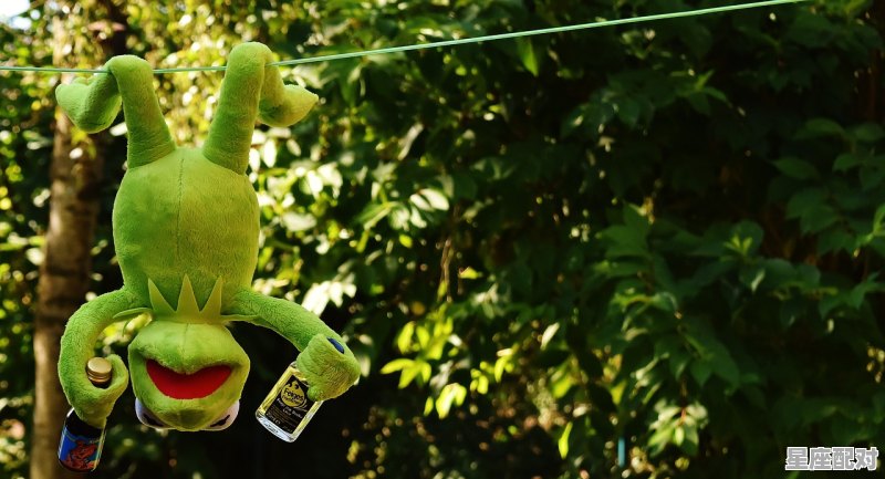 开心躲猫猫飞天挂怎么搞_开心躲猫猫怎么用gg 开心躲猫猫飞天挂怎么搞_开心躲猫猫怎么用gg - 星座运势