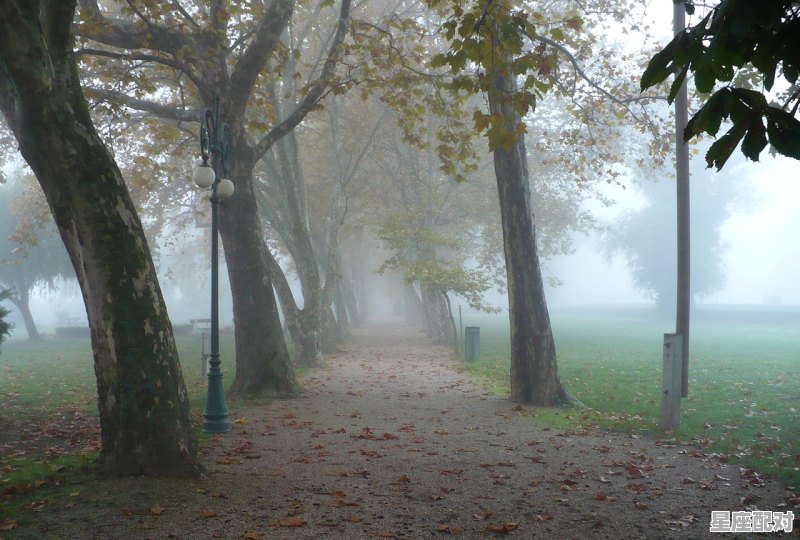 梦到好多人上坟,梦到好多人上坟 梦到好多人上坟,梦到好多人上坟 - 星座运势