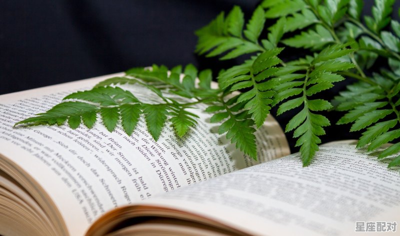 关于端午节的故事，与端午有关的习俗或传说 - 星座运势