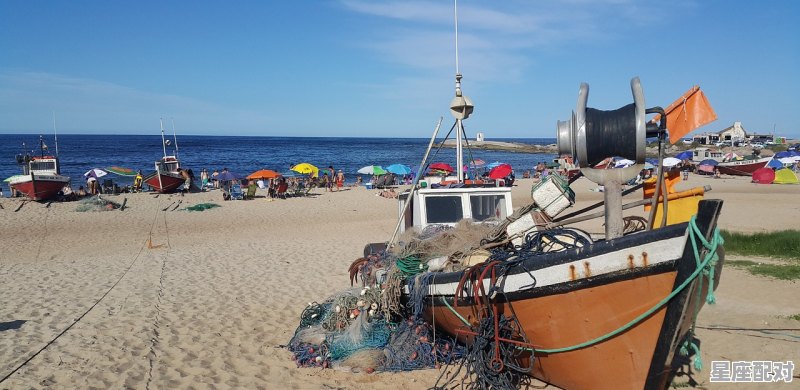 江中浪大怎么钓鱼,什么星座最招风 江中浪大怎么钓鱼,什么星座最招风 - 星座运势