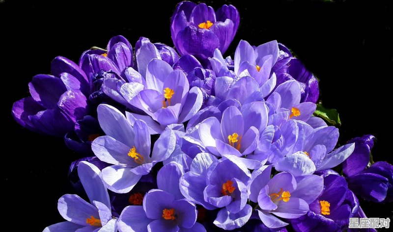 3月分别是什么星座_3月底是属于什么星座 3月分别是什么星座_3月底是属于什么星座 - 星座运势