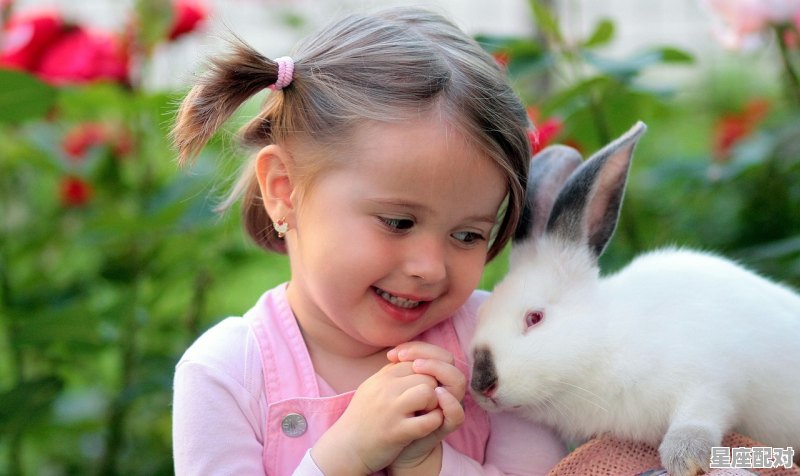 87年属兔男喜欢什么样的女生,87男兔和什么生肖最配 87年属兔男喜欢什么样的女生,87男兔和什么生肖最配 - 星座运势