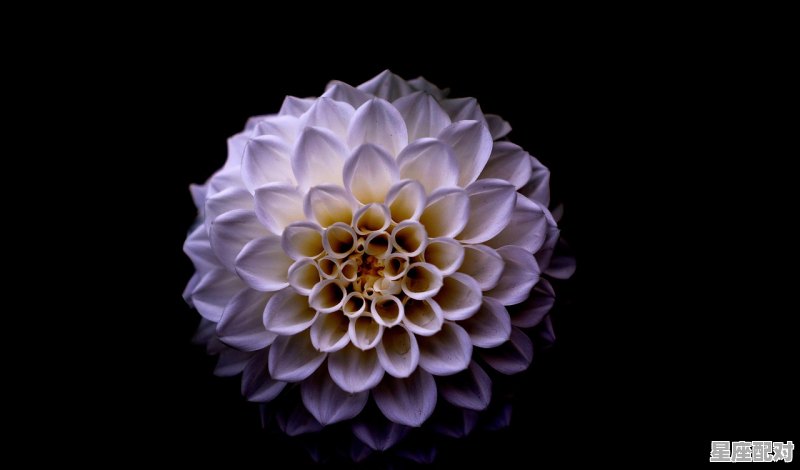 9月10号是什么星座,9月10什么星座的 9月10号是什么星座,9月10什么星座的 - 星座运势