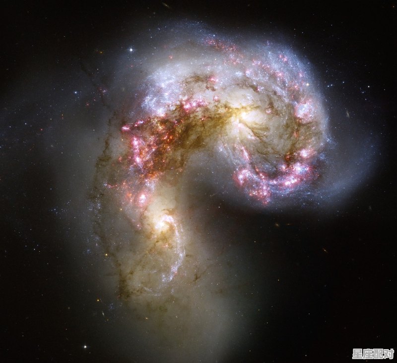 12月17点是什么星座，8.17什么星座 - 星座运势