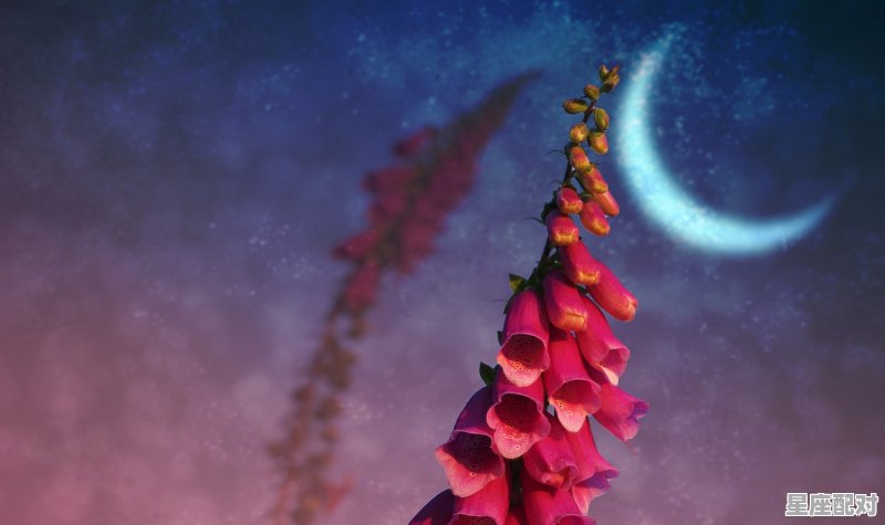 月亮星座和太阳星座哪个占主导,星座什么太阳月亮 - 星座运势