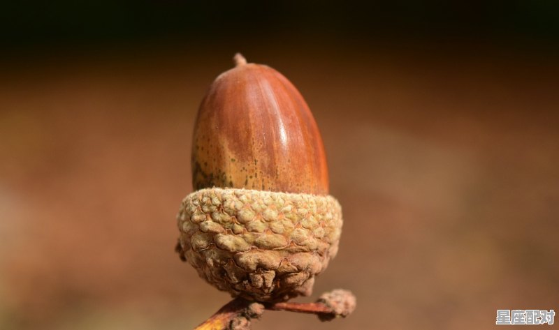 8月中旬到9月中旬属猴运气如何，92猴男今日运势 - 星座运势