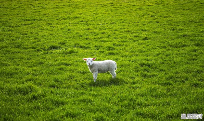 2015年属羊的农历8月28出生,2018属羊今日运势 2015年属羊的农历8月28出生,2018属羊今日运势 - 星座运势