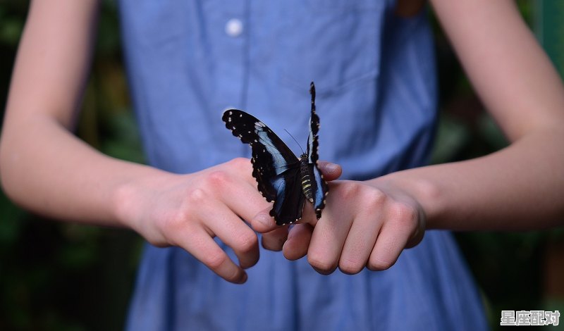 瞎子宠物附魔选什么好,瞎子吃核桃砸了手是什么生肖 瞎子宠物附魔选什么好,瞎子吃核桃砸了手是什么生肖 - 星座运势
